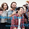 The_Walking_Dead___Comic-con_201421_Andrew_Lincoln21Norman_Reedus21_Danai_Gurira21_0584.jpg